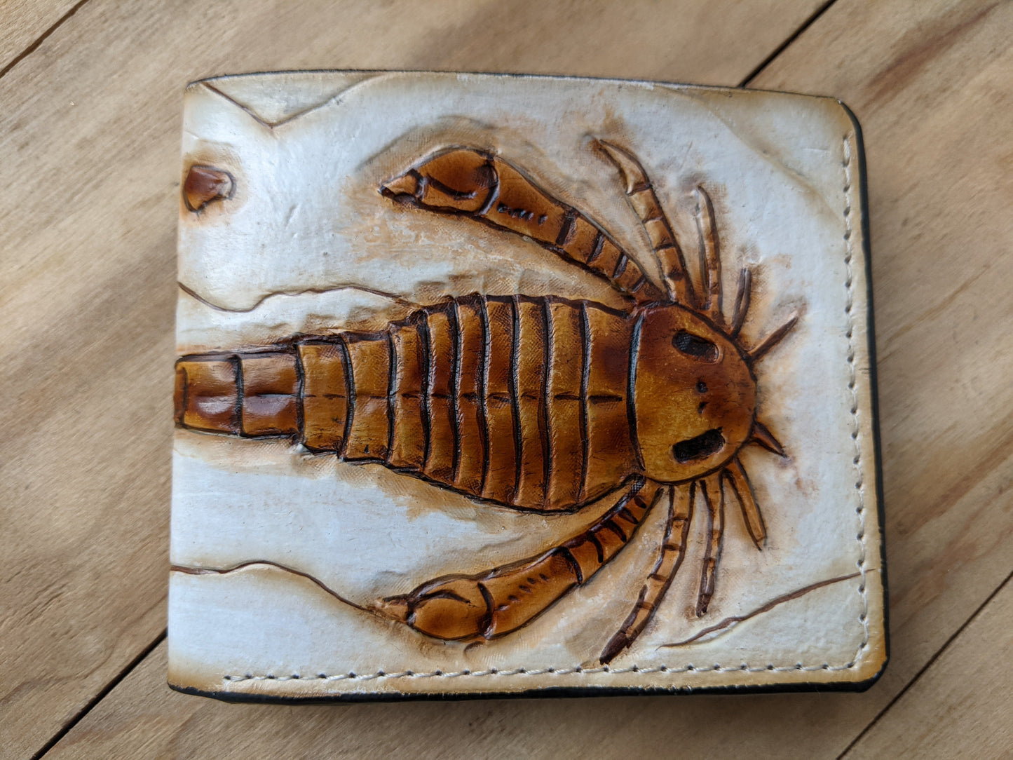 Handmade Eurypterid Sea Scorpion bifold leather wallet with fossil embossed design. Perfect gift for him with RFID protection.