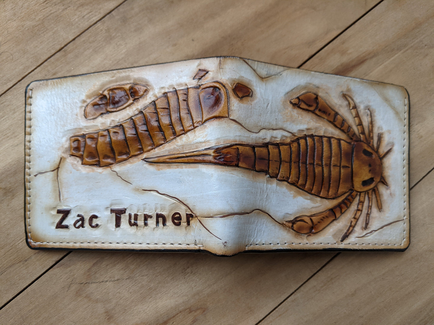 Handmade Eurypterid Sea Scorpion bifold leather wallet with fossil embossed design. Perfect gift for him with RFID protection.
